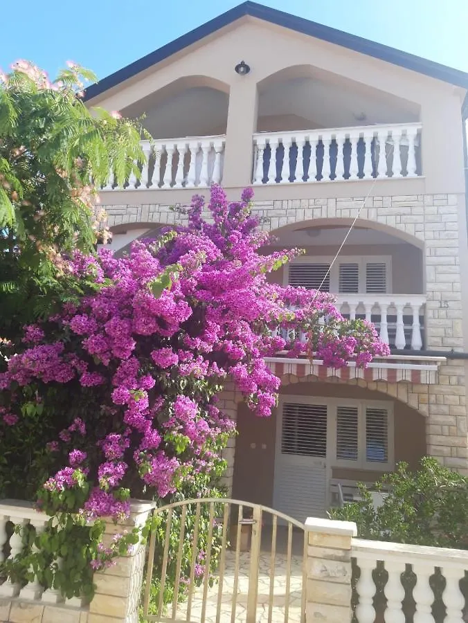 Apartment Petrcane Centar