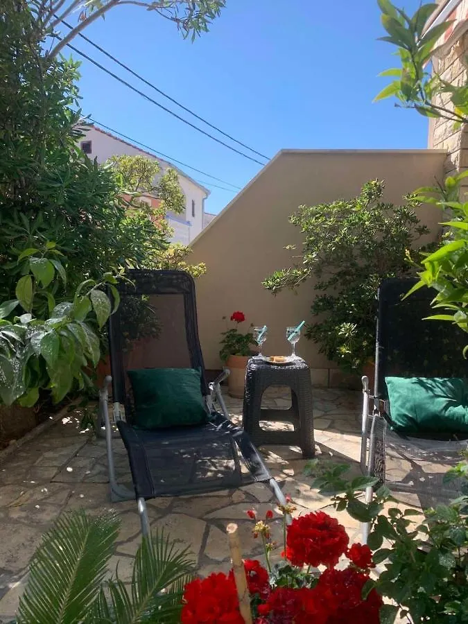 Apartment Petrcane Centar